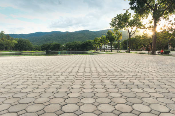 Best Driveway Pavers for Homes  in Streamwood, IL